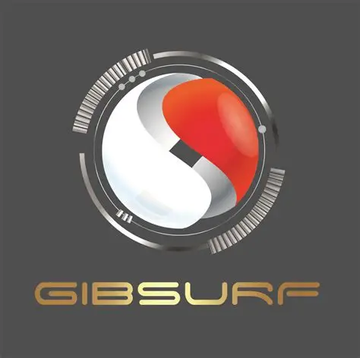 GIBSURF